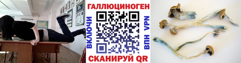 Псилоцибиновые грибы ЛСД Кочубеевское